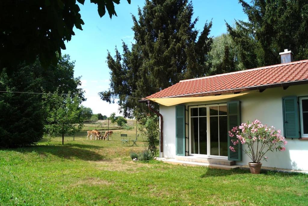 Idylisches Cottage Mit Reh Вертзе Екстер'єр фото
